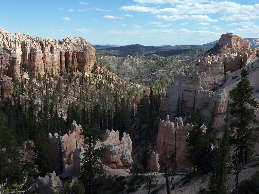 bryce canyon (184).JPG